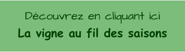 Dcouvrez en cliquant ici La vigne au fil des saisons