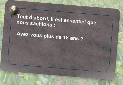 Tout d�abord, il est essentiel que nous sachions :  Avez-vous plus de 18 ans ?